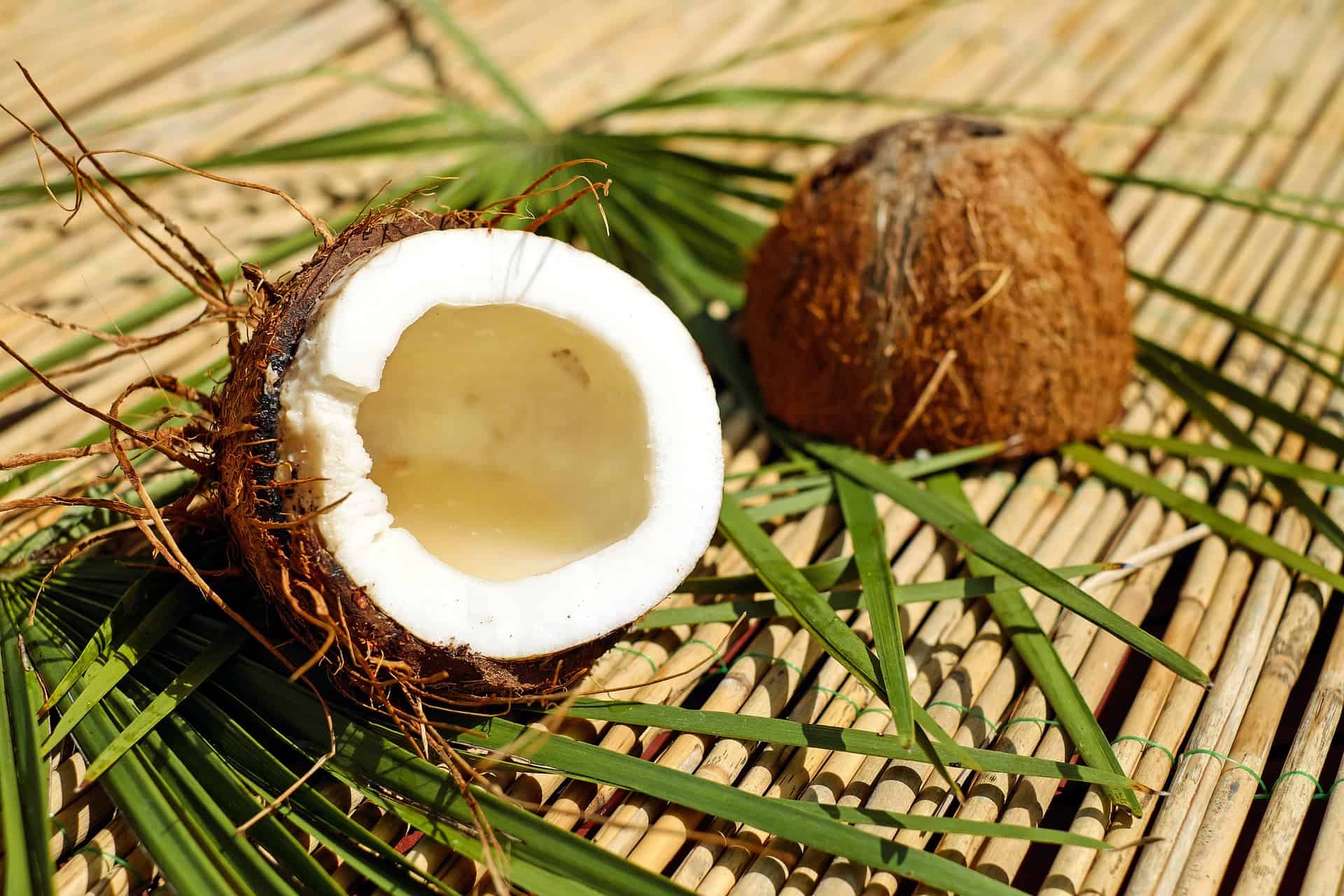 Kokosmilch und Hanfmilch für die Eisherstellung
